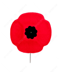 Remembrance Day 2025